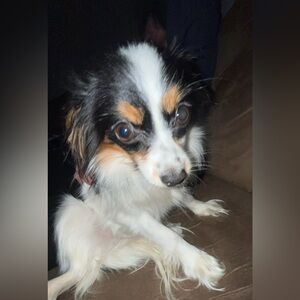 Meet your Posher, Sam